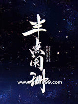 《半点阑珊》全本TXT下载-作者：站着写文