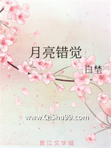 《月亮错觉》全本TXT下载-作者：白埜