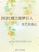 《[综]红楼之圆梦巨人》全本TXT下载-作者：光芒在我心