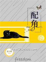 《配角》全本TXT下载-作者：思归客