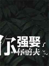 《你强娶了你前夫》全本TXT下载-作者：木三观