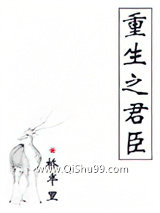 《重生之君臣》全本TXT下载-作者：桥半里