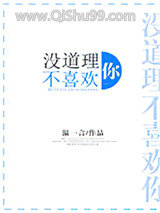 《没道理不喜欢你》全本TXT下载-作者：温一言