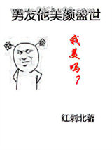 《男友他美颜盛世》全本TXT下载-作者：红刺北