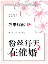 《粉丝每天在催婚》全本TXT下载-作者：芒果炸酥