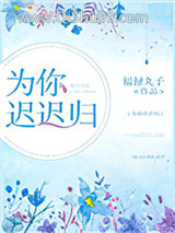 《为你迟迟归》全本TXT下载-作者：福禄丸子