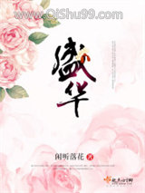 《盛华》全本TXT下载-作者：闲听落花
