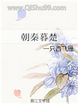 《朝秦暮楚》全本TXT下载-作者：一只西飞雁