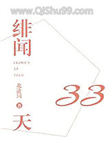 《绯闻33天》全本TXT下载-作者：北途川