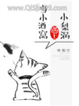 《小酒窝遇上小梨涡》全本TXT下载-作者：明摇