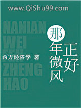 《那年微风正好》全本TXT下载-作者：西方经济学