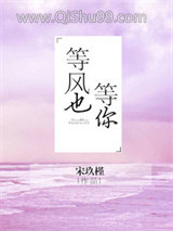 《等风也等你》全本TXT下载-作者：宋玖槿