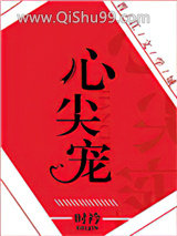 《心尖宠（娱乐圈）》全本TXT下载-作者：时衿