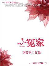 《小冤家》全本TXT下载-作者：李暮夕