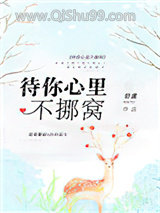 《待你心里不挪窝》全本TXT下载-作者：舒虞