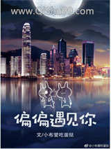 《偏偏遇见你》全本TXT下载-作者：小布爱吃蛋挞