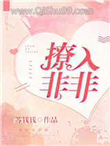 《撩入非非》全本TXT下载-作者：苏钱钱