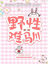 《野性难驯》全本TXT下载-作者：小肸