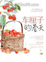 《春天里的小樱桃》全本TXT下载-作者：江小绿