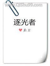 《逐光者》全本TXT下载-作者：蔚空