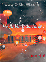 《似是风雪故人归》全本TXT下载-作者：北途川