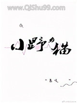 《小野猫》全本TXT下载-作者：慕吱