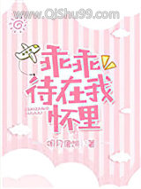 《乖乖待在我怀里》全本TXT下载-作者：明月像饼