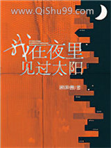 我在夜里见过太阳图片