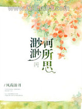 《渺渺何所思》全本TXT下载-作者：风荷游月