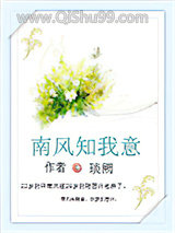 《南风知我意》全本TXT下载-作者：琰阙