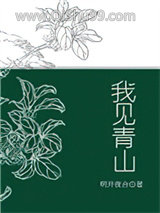 《我见青山》全本TXT下载-作者：明开夜合