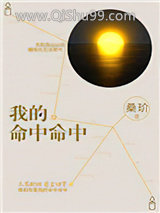 《我的命中命中》全本TXT下载-作者：桑玠