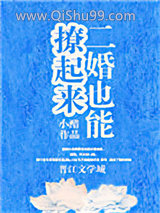 《二婚也能撩起来》全本TXT下载-作者：小醋