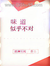 《味道似乎不对》全本TXT下载-作者：波澜壮阔