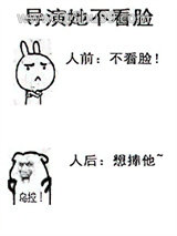 《导演她不看脸》全本TXT下载-作者：红刺北
