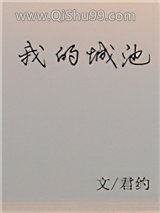 我的城池图片