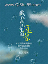 《藏在回忆里的风景》全本TXT下载-作者：素光同