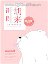 《叶叶胡来》全本TXT下载-作者：陆路鹿