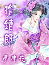 《抢错郎》全本TXT下载-作者：梦飞花