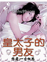 《皇太子的男友》全本TXT下载-作者：一寸相思