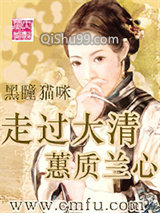 《走过大清—蕙质兰心》全本TXT下载-作者：黑瞳猫咪