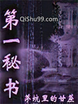 第一秘书图片