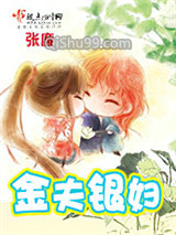 《金夫银妇》全本TXT下载-作者：张廉