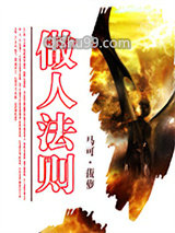 做人法则小说