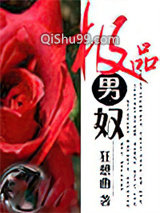 极品男奴小说