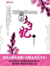 极品太子妃图片