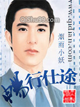 《畅行仕途》全本TXT下载-作者：烟雨小妖
