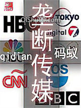 垄断传媒小说