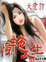 惊艳人生小说