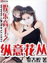 《娱乐高手之纵意花丛》全本TXT下载-作者：金古煌